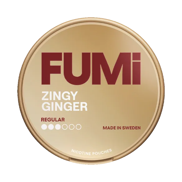 FUMi Zingy Ginger Regular - Bild 2