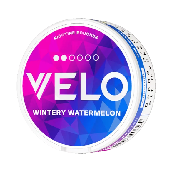 VELO Wintery Watermelon Mini - Bild 2