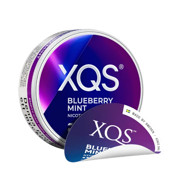 XQS Blueberry Mint