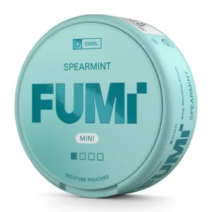 FUMi Spearmint Mini Regular