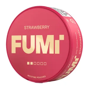 FUMI  Strawberry Regular