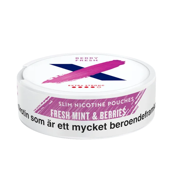 X Berry Fresh Extra Strong 10mg - Bild 4